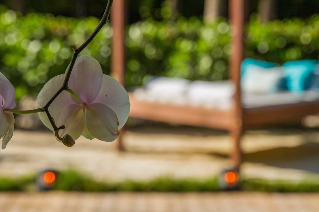 Marseilles Beachfront Hotel Miami Beach Ngoại thất bức ảnh